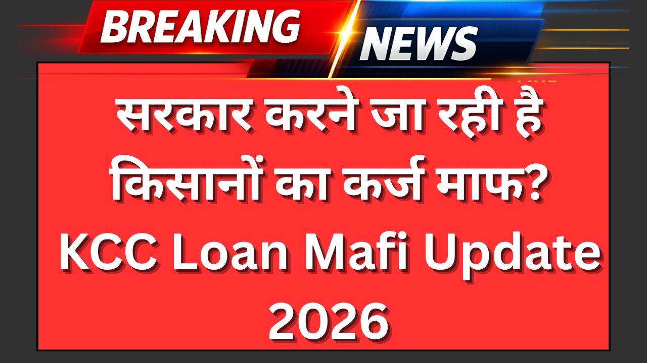 KCC Loan Mafi Update