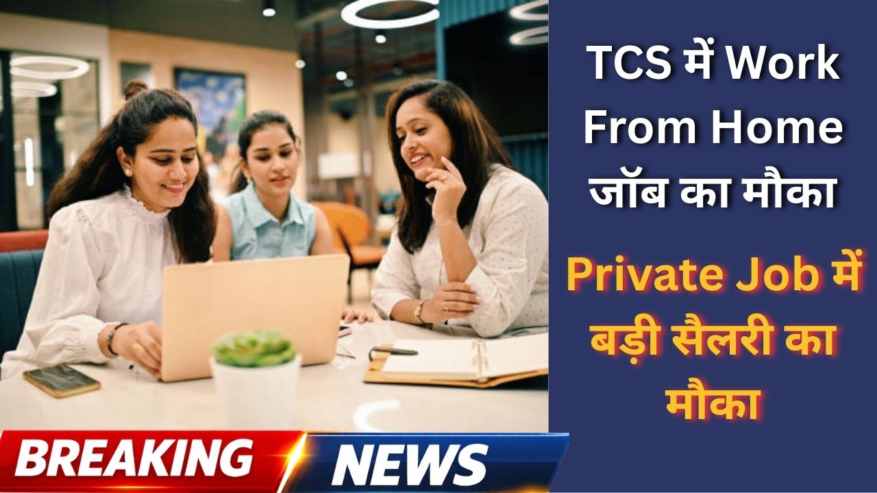 TCS Work From Home Job